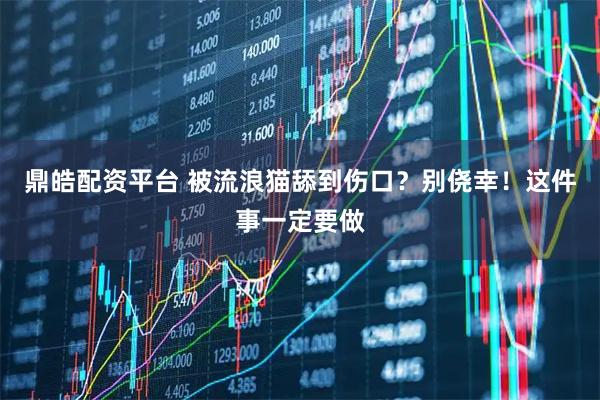 鼎皓配资平台 被流浪猫舔到伤口？别侥幸！这件事一定要做