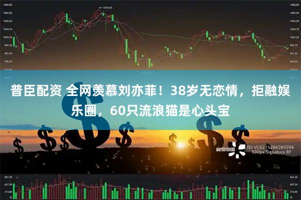 普臣配资 全网羡慕刘亦菲！38岁无恋情，拒融娱乐圈，60只流浪猫是心头宝