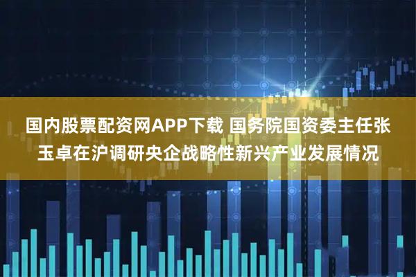 国内股票配资网APP下载 国务院国资委主任张玉卓在沪调研央企战略性新兴产业发展情况